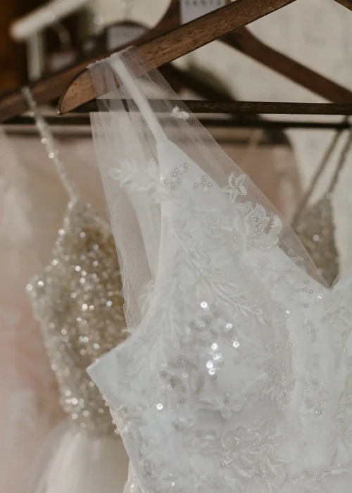 pexels-aliona-zueva-10743462