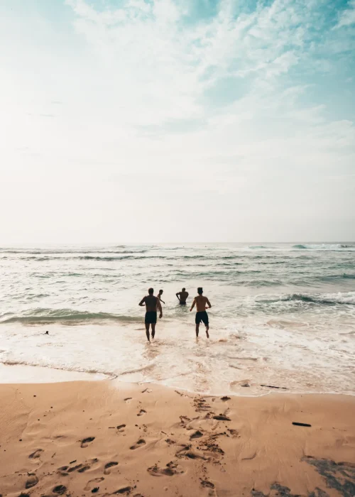 pexels-oliver-sjöström-1056497