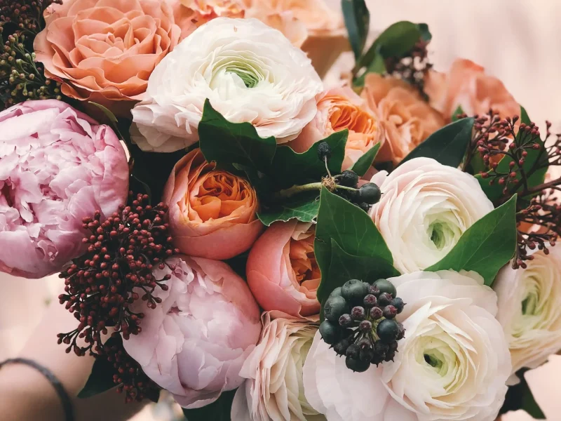 pexels-secret-garden-931155